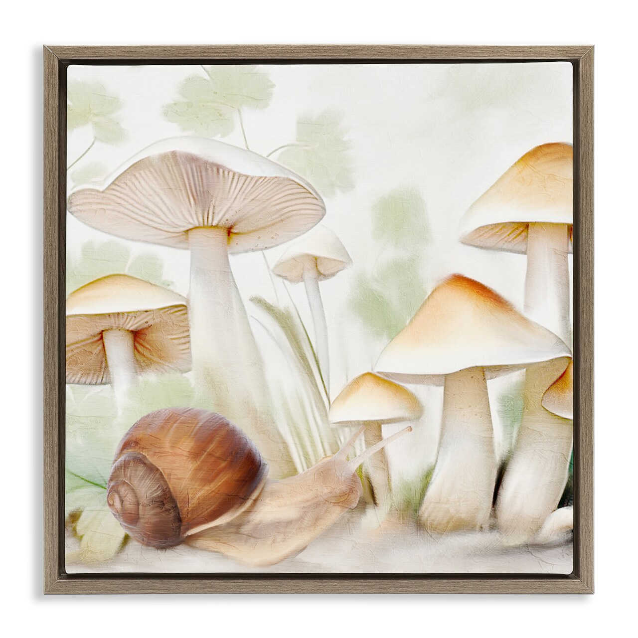 Stupell Industries Snail Among Mushrooms Floater Framed Canvas Wall Art Design by Kim Allen